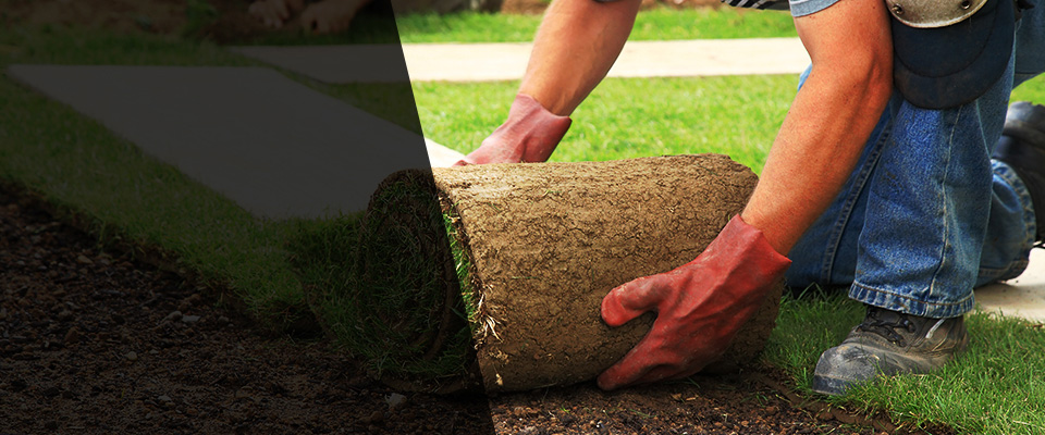 Ruidoso Landscapers